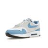 Nike Air Max 1 University Blue Мужские кроссовки White Photon-Dust Black FD9082-103
