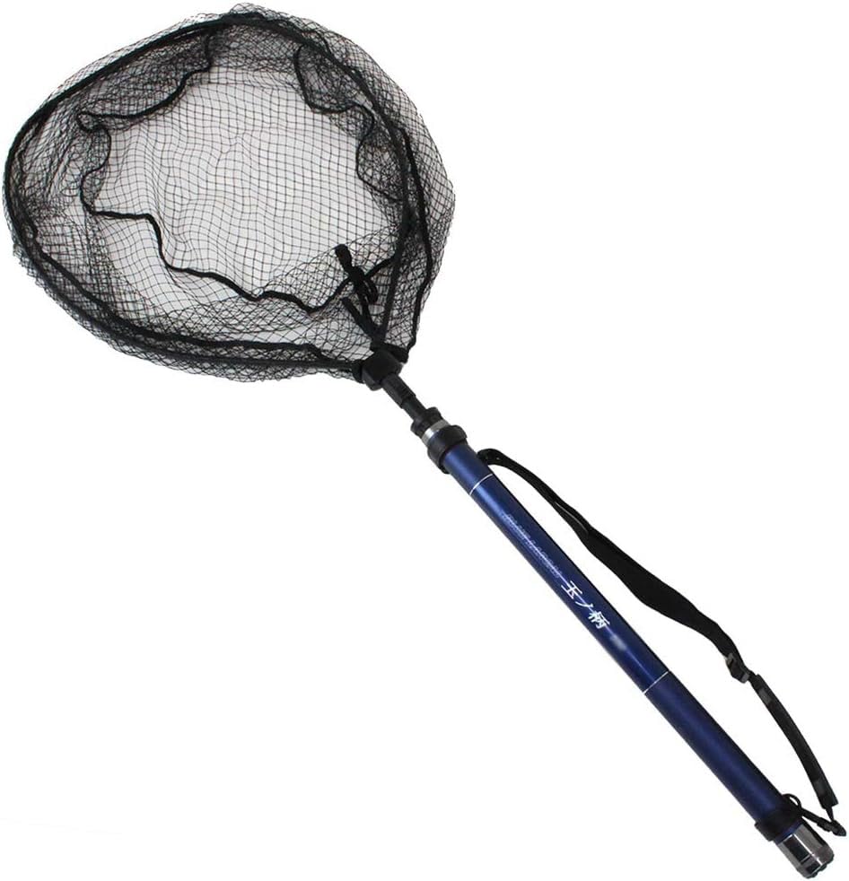 Ori Fishing Tackle Jointed Integrated Landing Net L 5m Landing Pole Set + (BLUE LARCAL500) 2-Piece (sip-netset48-500)