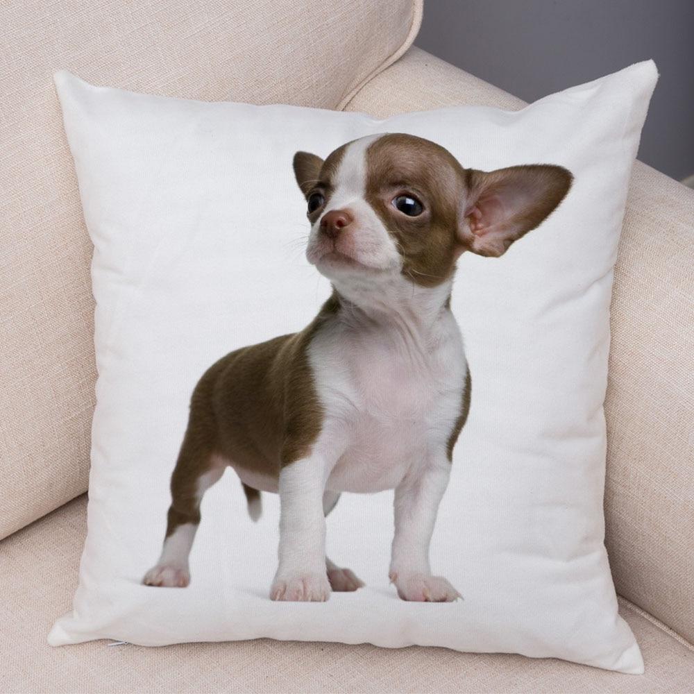 Cute Pet Animal Pillowcase Decorative Cute Puppy Chihuahua Pillowcase Soft Plush Cushion Cover for Car Sofa Home 45x45cm