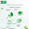 Darlie Свежий Чай Зубная паста Longjing Двойная упаковка с зубными щетками