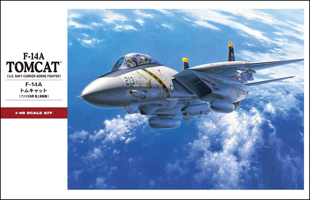 Hasegawa US Navy Tomcat Plastic Model PT46 1/48 F-14A