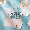 Development period girls underwear - year old girls tube top padded seamless vest junior high school students breathable bra thin