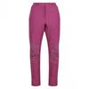 Regatta Womens/Ladies Questra IV Stretch Hiking Trousers