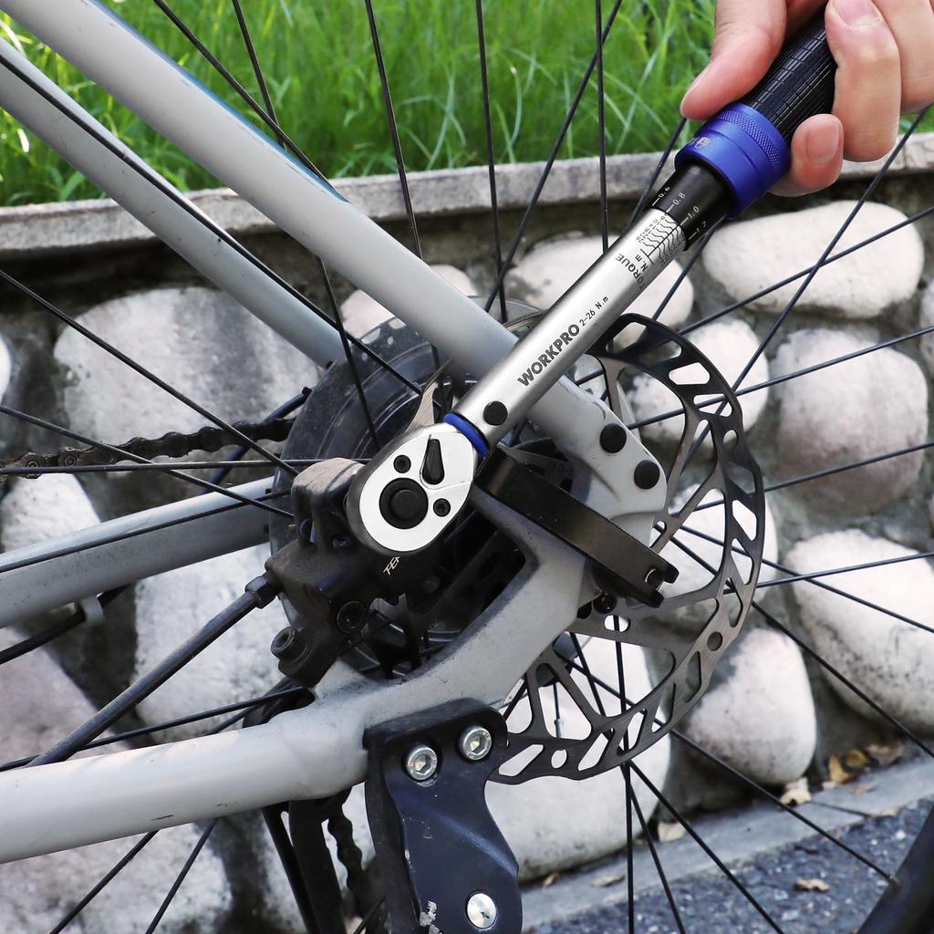 WORKPRO Torque 14 Piece Drive Preset Bit Extension Bar 2 Easy Rotation Direction Quick Release Repair Maintenance Storage Case Calibration Certificate