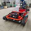 Remote-Controlled Orchard Crawler Lawn Mower & Mulcher