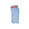 Nike Casual Shorts Men's Moderate BV9447-436