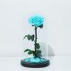 Eternal flower glass cover big prince single rose Qixi Festival Valentine's Day girlfriend birthday gift dried flower
