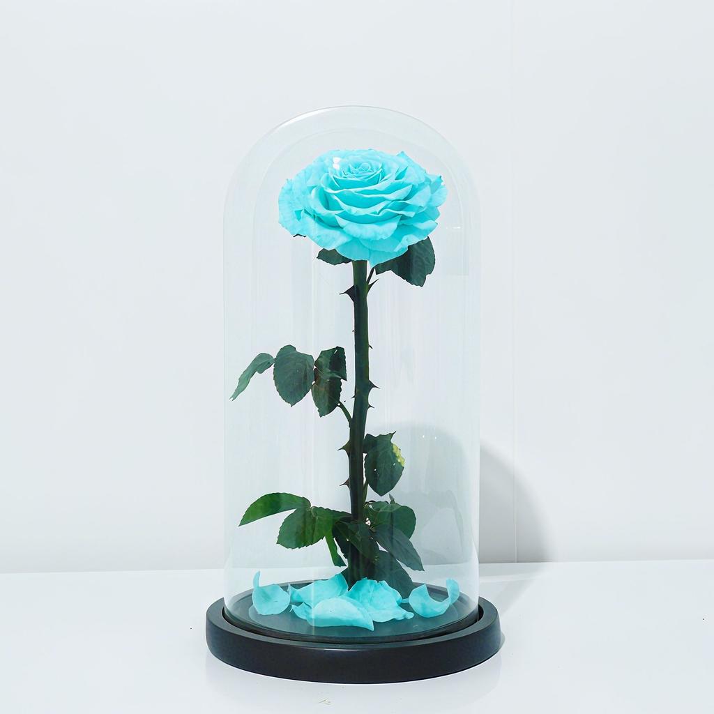 Eternal flower glass cover big prince single rose Qixi Festival Valentine's Day girlfriend birthday gift dried flower