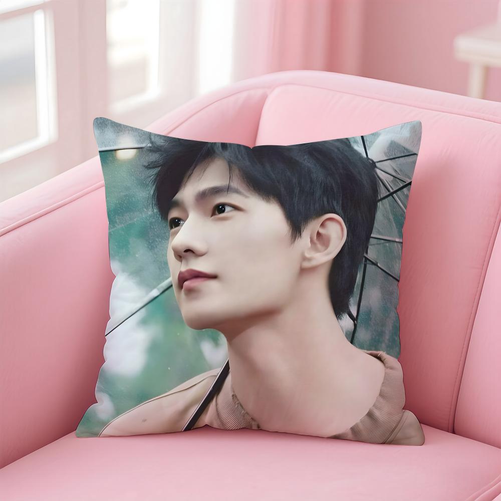 actor handsome YYang Yang Cushion Cover Pillow Case Soft Skin Friendly Fabric Concealed Zipper