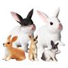 5x Animals Figurines Rabbit Figures Party Favor Realistic Mini Bunny Farm Toy for