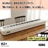 Цифровое пианино B2+ 88 клавиш Удобное для начинающих USB Type-C Белый