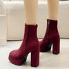 Women High Heels Platform Ankle Boots Winter Suede Elegant Office Shoes 2025 Trend Goth Chelsea Chunky Shoes Fashion Botas Mujer
