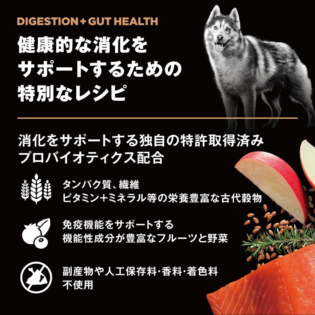 SOLUTIONS Пищеварение Здоровье кишечника Корм для собак 800 г Лосось Пробиотики Фрукты Для всех возрастов Для всех пород собак [Уход за кишечником] ВПЕРЕД! + [Перейти к решениям]