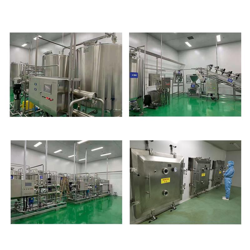 Manufacturer s High Magnesium Ascorbyl Phosphate Powder