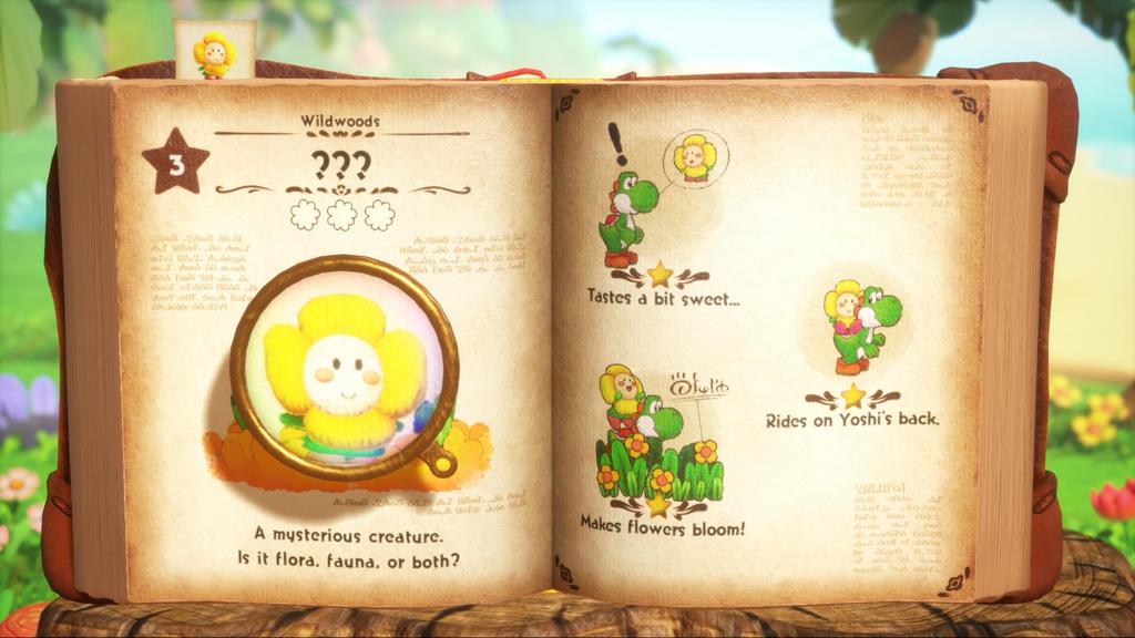 Йоши и таинственная книга Американский Switch 2 (Северный импорт) -
