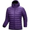 Куртка-худи Arc'teryx Cerium X000007313