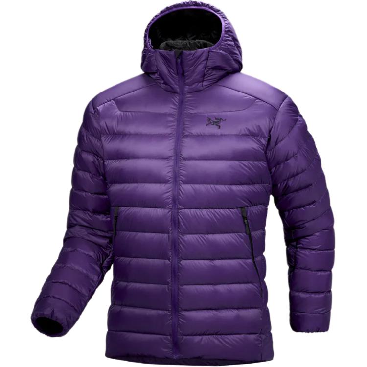 Куртка-худи Arc'teryx Cerium X000007313