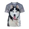 3D Animal Dog Printed Men T-shirts Siberian Husky Graphic Harajuku Oversized Casual Fashionn Summer Short Sleeve Funny Clothing