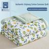 Xinjiang Cotton Summer Air Conditioning Quilt, Machine Washable Thin Quilt for Dormitory, Ideal for Students