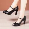 6 8 10 см Маленький размер 32-43 Shallolw Туфли Мэри Джейн из натуральной кожи 2025 Осень Туфли на высоком блочном каблуке Платформа для офисного платья