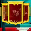 Индивидуальные вымпелы: Персональные подарки-благодарности для врачей, учителей, нянь, управляющих недвижимостью, медиумов и тренеров.