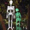 Portable Skull Prop Attractive Plastic Funny Halloween Luminous Skeleton Body Toy Sculpture