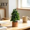 Artificial Greenery for Living Room Mini Pine Tree Potted Plant, Fake Bonsai Desktop Ornament, Maintenance Free Indoor Plant Faux Houseplant Entryway