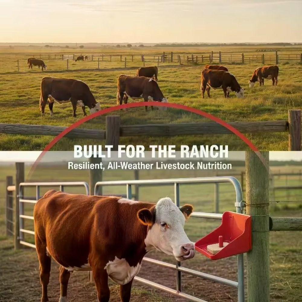 Thickened Salt Block Box Special Purpose Feed Salt Box Sturdy Lick Brick Rack Pasture Equipment