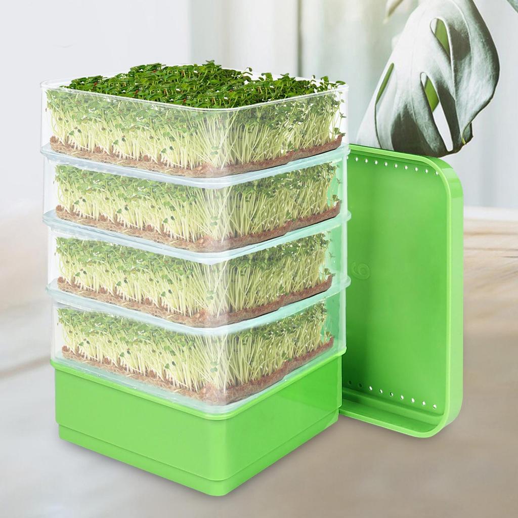 Seed Sprouter Kits 4 Tier Mini Plant Grow Tray for Beans Wheat Alfalfa