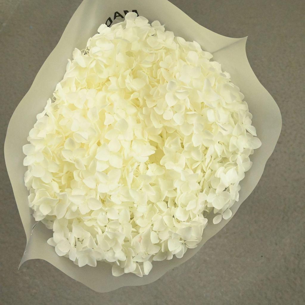 Phantom Flower: Single 20CM Preserved Hydrangea, Handmade Dried Bouquet for Decoration