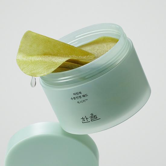 Hanyul Увлажняющие успокаивающие прокладки Artemisia, 60 листов