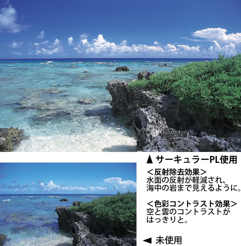 Kenko Camera Filter PRO1D WIDE BAND Circular PL 55mm for Increasing Contrast and Removing Reflections 515525 (W)