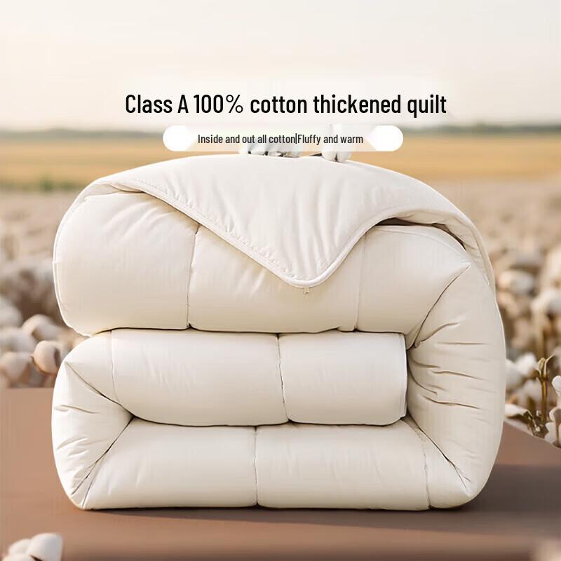 FUANNA 100% Cotton Filling Thickened Winter Duvet