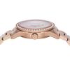 Emporio Armani Watch AR11613 Gold Women's