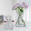 Creative Transparent Glass Vase for Home Decoration - Ideal for Living Room and Desktop Floral Arrangements & Hydroponic Displays