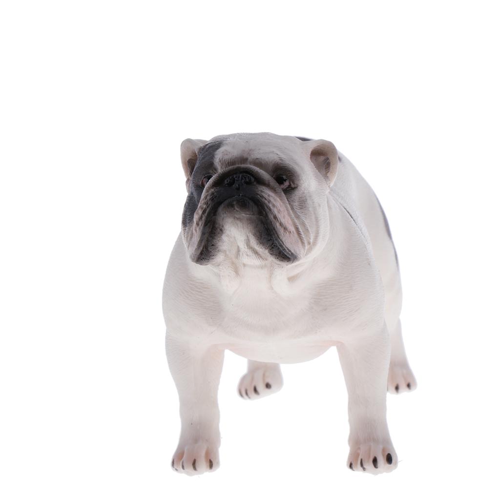 Моделирование домашних животных Модель животного Рисунок Развивающая игрушка Домашний декор Сова