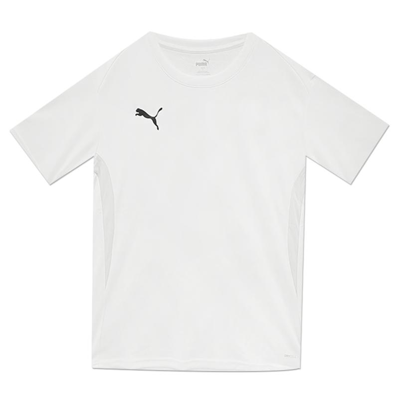 Puma Футболка Team Goal Asian FiT 65940304 T shirT