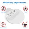 24Pcs Fly Traps Sticky Glue Boards Strong Stickiness Fruit Flies Gnats Moths Mosquito Lamp Refillable Sticky Pads Set