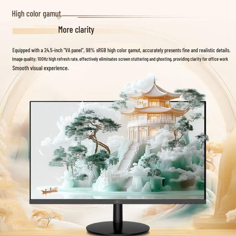 Lenovo RuiTian 2410V 24.5-inch IPS Full HD 100Hz Monitor CN plug (adapter included)