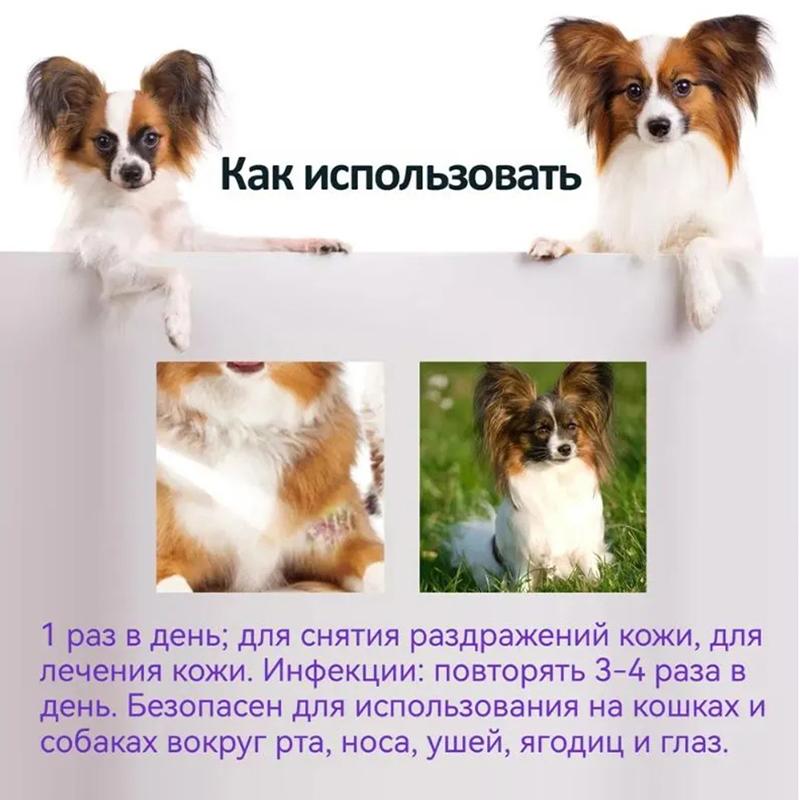 Pet Skin Disease Spray, Treat Itching, Protect Barrier, Natural Artemisia, 100ml