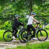 Electric Mountain Bike RANDRIDE YG90A 1000W Motor 48V 17Ah Battery Max Speed 45km/h Max Range 90km