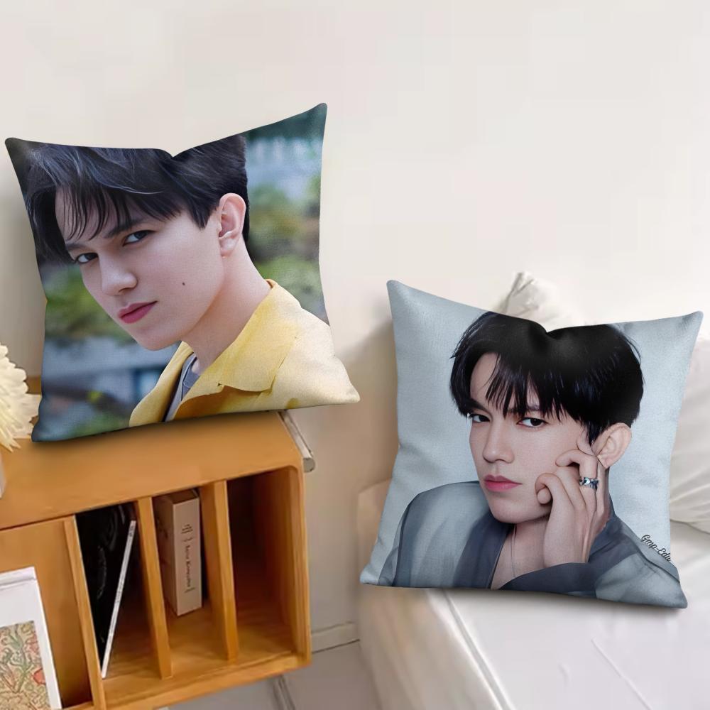 Новое поступление Чехол на подушку D-Dimash Шелковистый короткий плюш Невидимая молния Пылезащитный чехол для диванной подушки Для домашнего декора