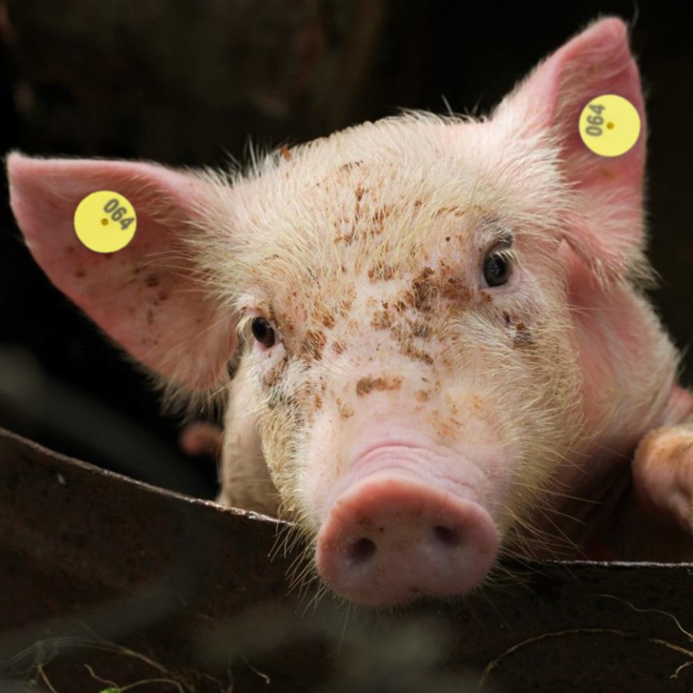 100 шт., ушная бирка с круглым номером для скота, маркер, аксессуар для свиньи, овцы, крупного рогатого скота