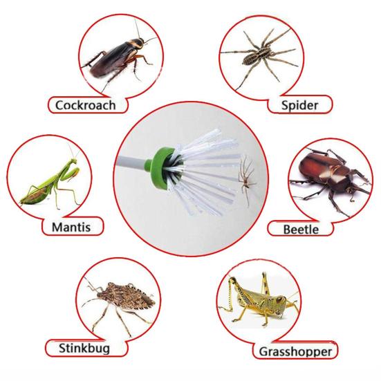 Yousheng Spider Catcher многоразовый безопасный инструмент для обработки тварей бесконтактное устройство для управления мелкими животными для дома и улицы