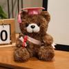 Drteddy Graduation Gift Bear Plush Toy Stuffed Animal Doll Decoration Kids