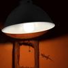 1Pcs Dome Heating Reptile Light Fixtures Aluminum Black Animals Heat Lamp Protector Metal Reflector Shell