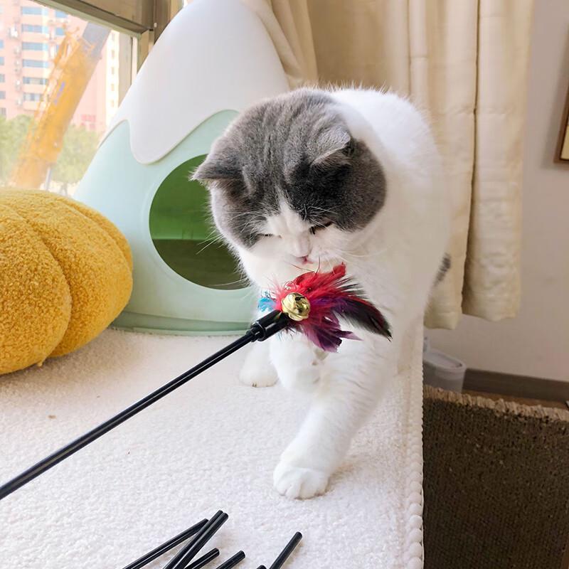 Ling Pet Language Интерактивные игрушки и аксессуары для кошек