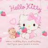 Sanrio Hello Kitty Leisure Sheet Single Person with Storage Bag and Name Tag Perfect for Picnics and Excursions (PP) - Size, - (604143)
