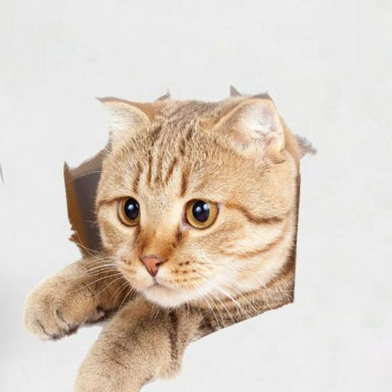 Креативные 3D кошки на стену и случайные наклейки для холодильника, блокнота, туалета - Горячая распродажа