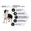 Pro Plan OptiAge for Medium and Large Adult Dogs from Around 7 Years Dry Brain and Memory Chicken 12kg Dogs, Old, Support,